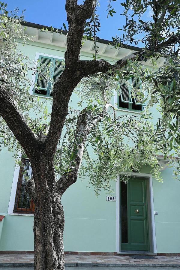 B&B Ulivo Gaio San Miniato Exterior photo